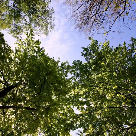 Szálloda Boshotel - Vlodrop, Roermond