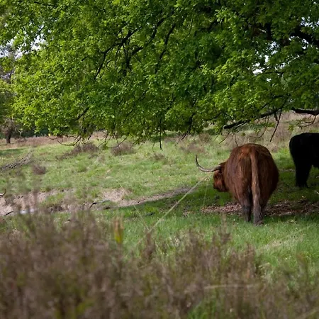 Boshotel - Vlodrop, Roermond Hotel
