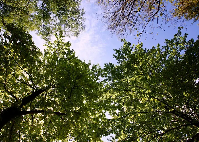 Hotel Boshotel - Vlodrop, Roermond