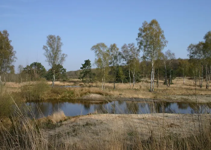 Boshotel - Vlodrop, Roermond