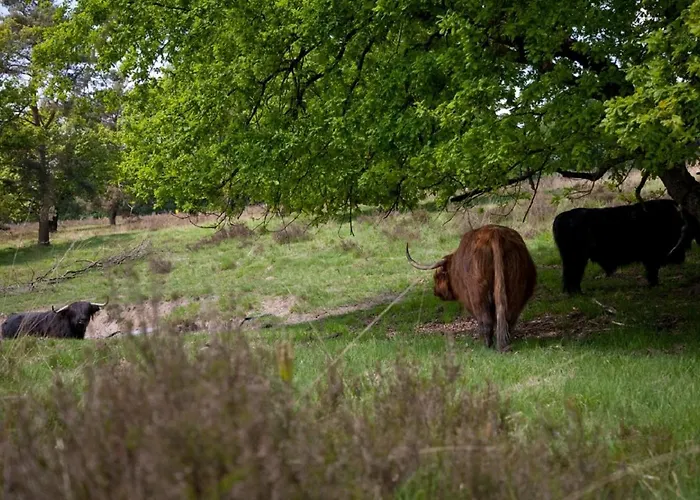 Boshotel - Vlodrop, Roermond Hotel